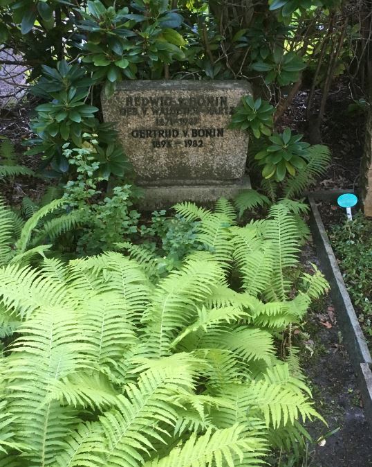 Grabstein Hedwig von Bonin, geb. von Waldeyer-Hartz, Parkfriedhof Lichterfelde, Berlin