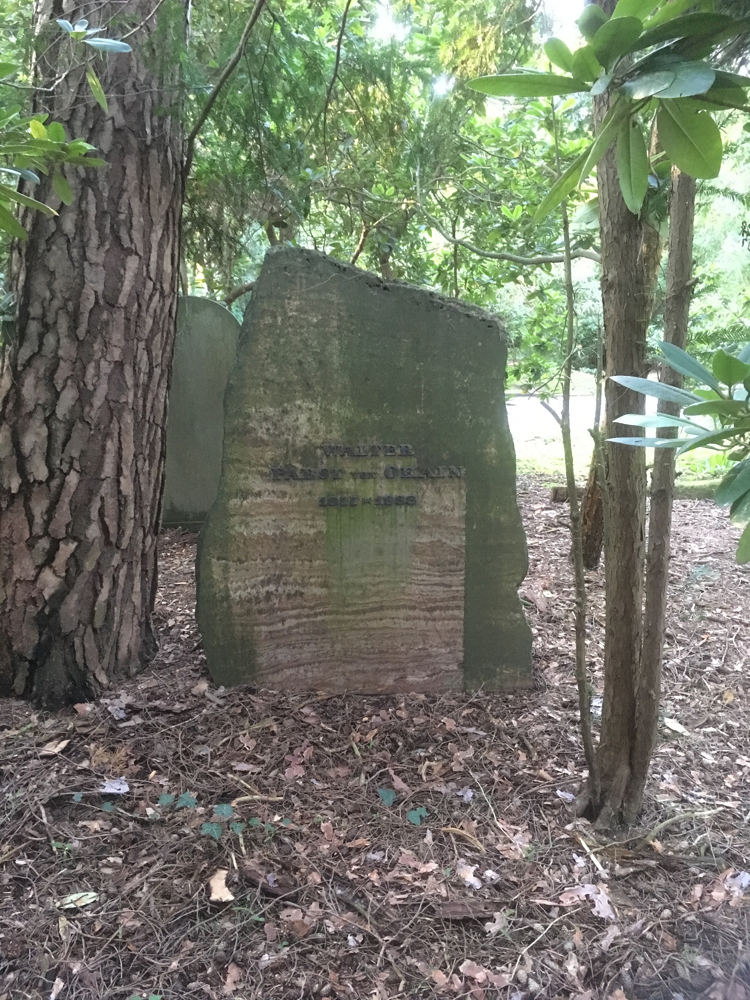 Grabstein Walter Pabst von Ohain, Parkfriedhof Lichterfelde